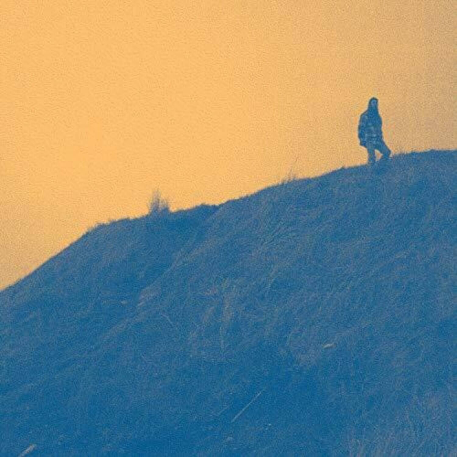 Dead Soft Big Blue VINYL LP - Best Buy