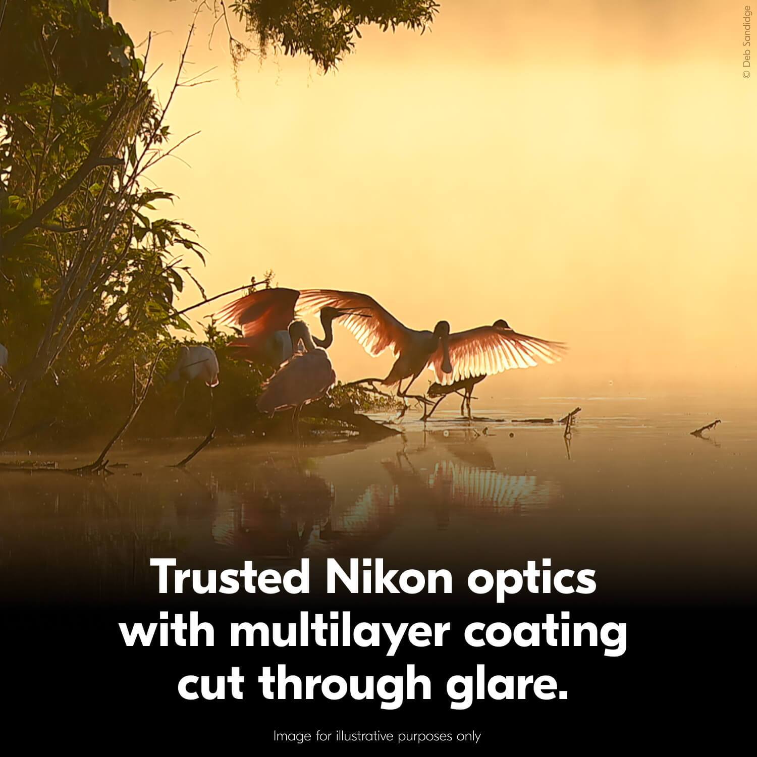 Trusted Nikon optics with multilayer coating cut through glare.  
Image for illustrative purposes only