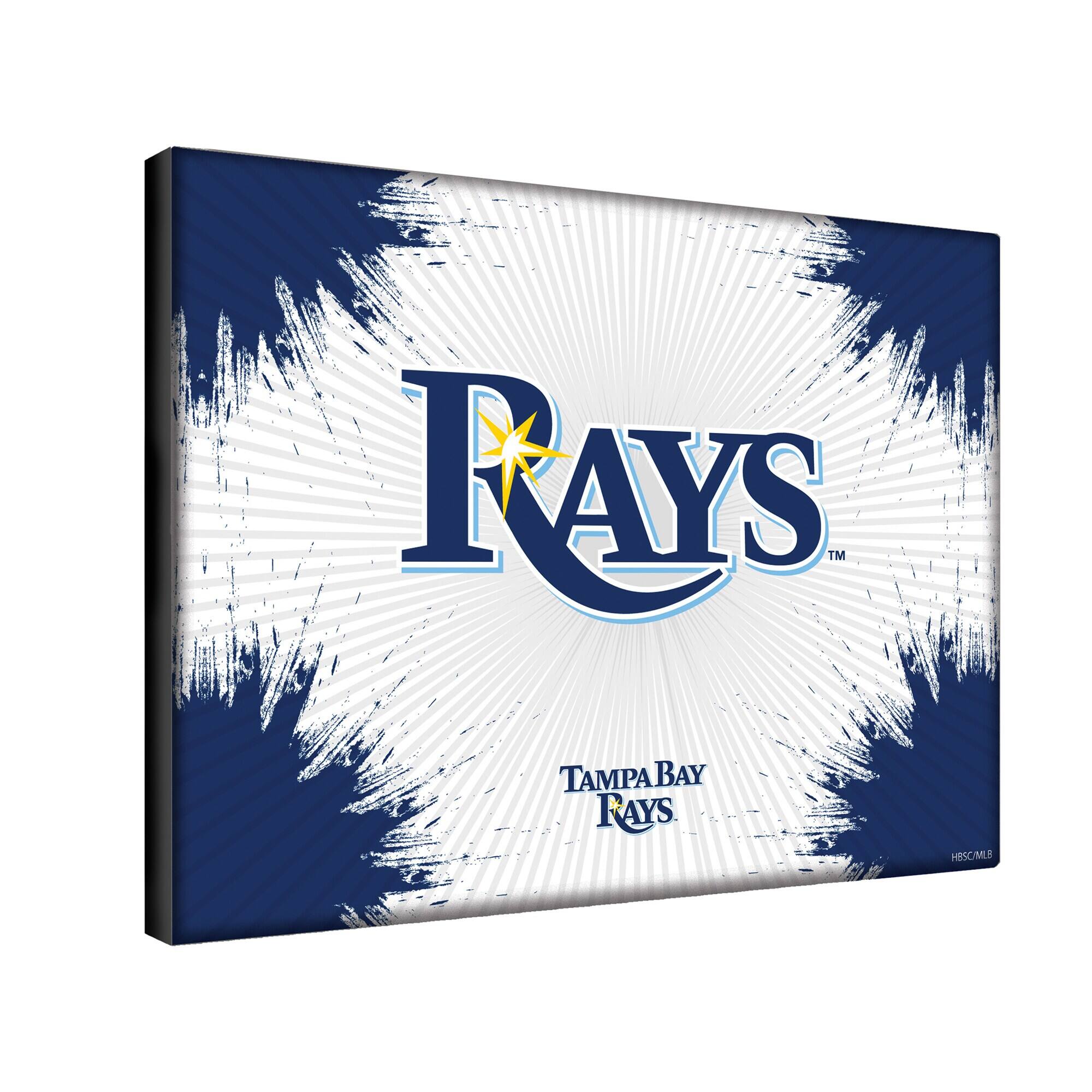 FAYS TM TAMPA BAY FAYS HBSC/MLB

RAYS™

Tampa Bay Rays

HBSC/MLB