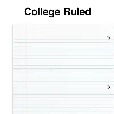 Staples Premium Poly 1 Subject Notebook, 8.5