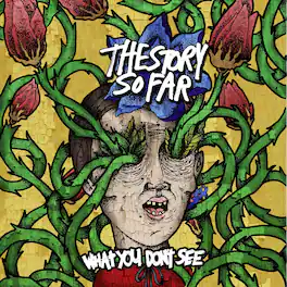 The Story So Far - What You Don'T See - VINYL LP