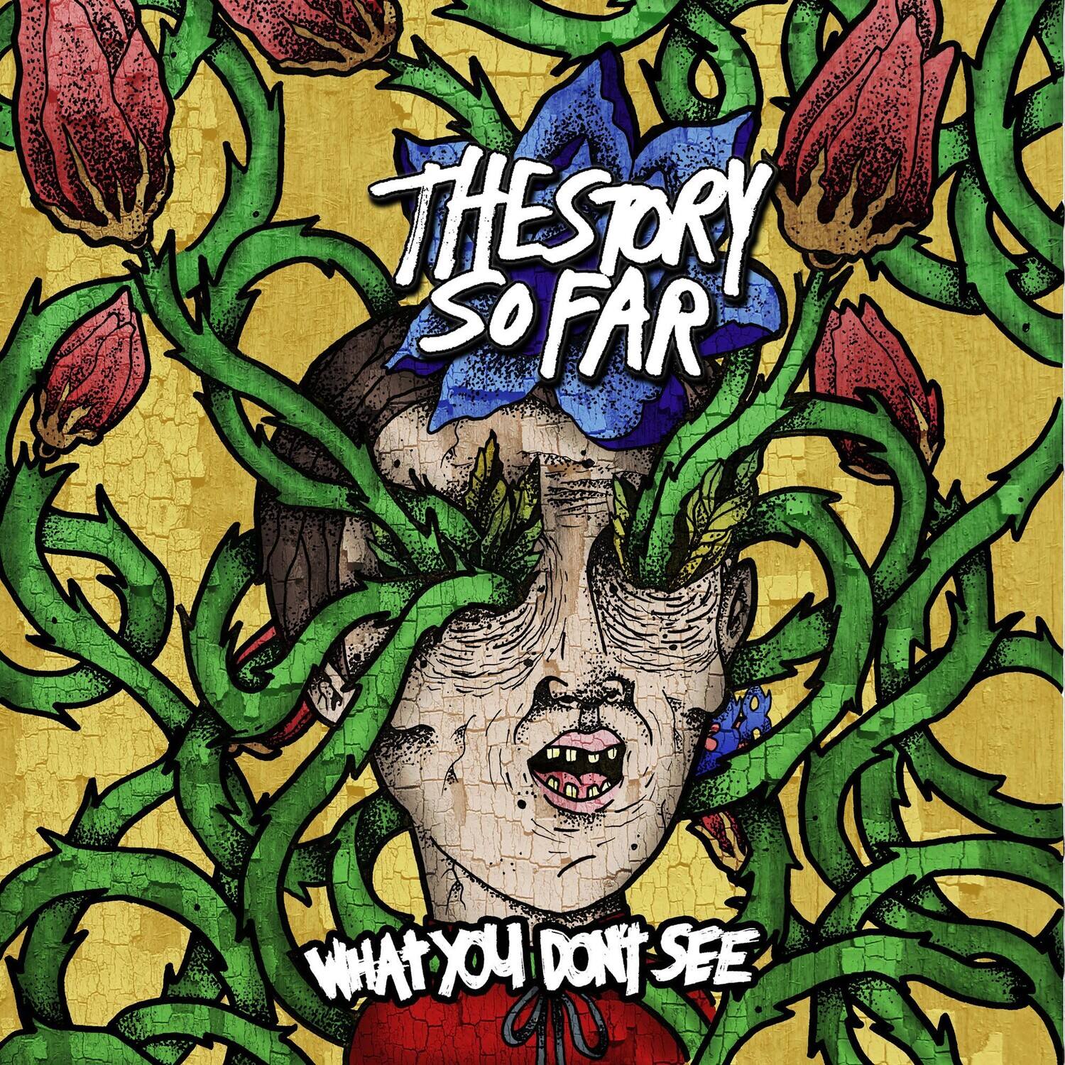 The Story So Far - What You Don'T See   - VINYL LP