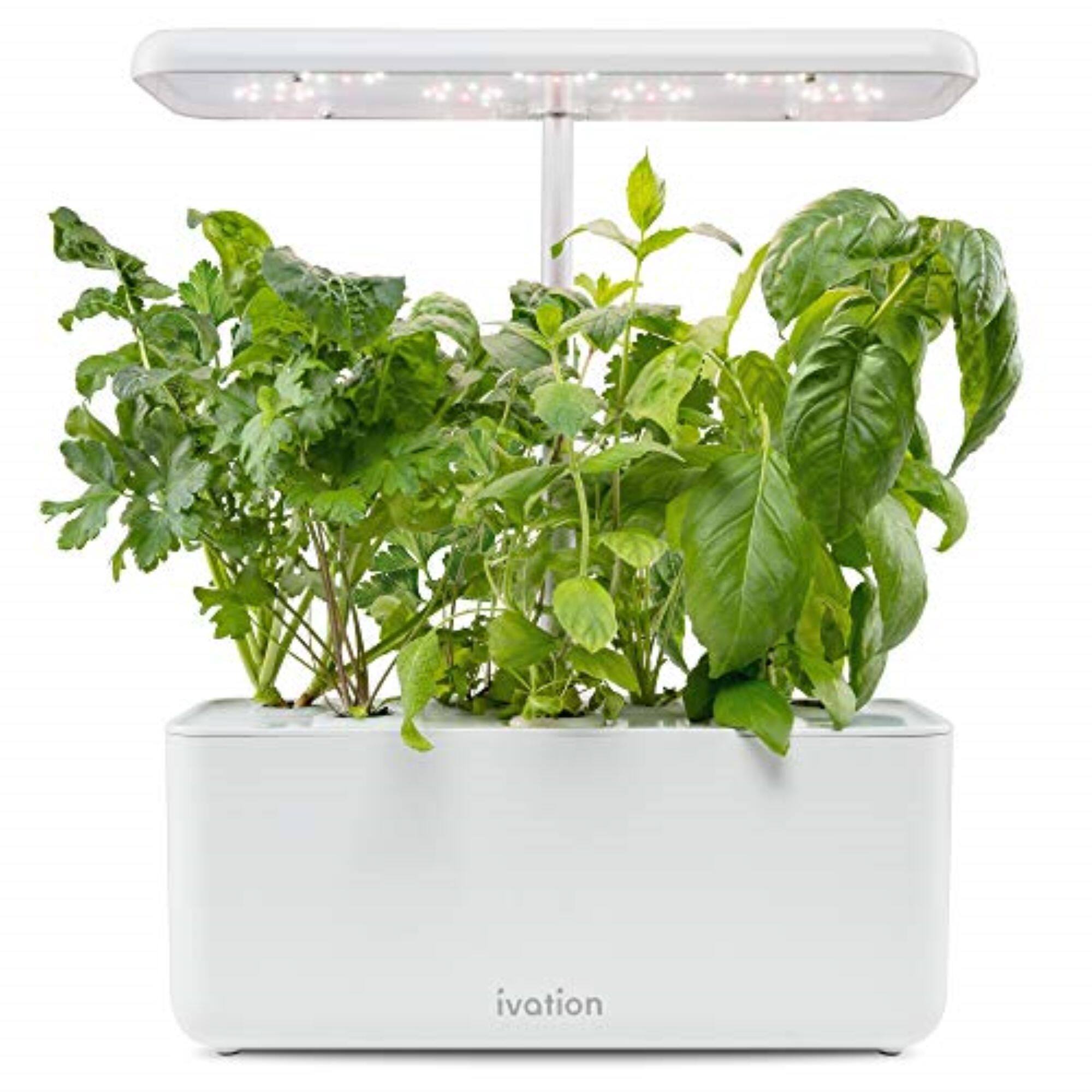 Alt View 1. Ivation - Hydroponic Seed Sponges – Compatible with Aerogarden, Ideal for Plant Growth & Water Flow. - Brown.