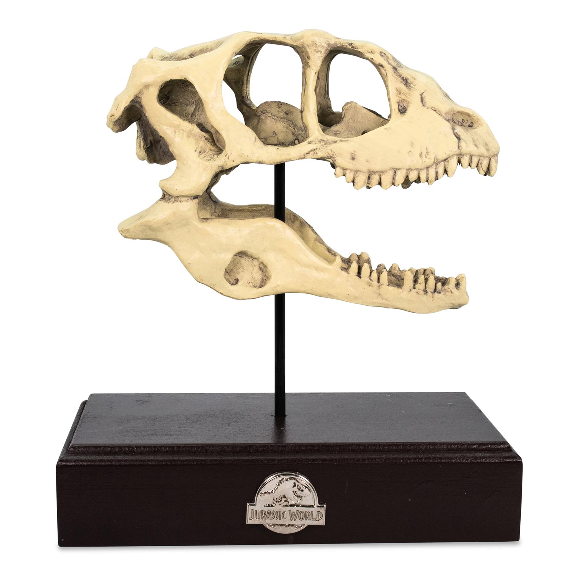 Surreal Entertainment - Jurassic World Velociraptor Skull Paperweight Replica | 8 Inches Tall - White
