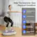 Help You Improve Your Physical Condition
- Increase metabolism and burn fat
- Improve circulation
- Relieve headaches, insomnia, and anxiety
- Increase bone mineral density
- Increase muscular strength