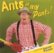 Front Standard. Ants in My Pants [CD].