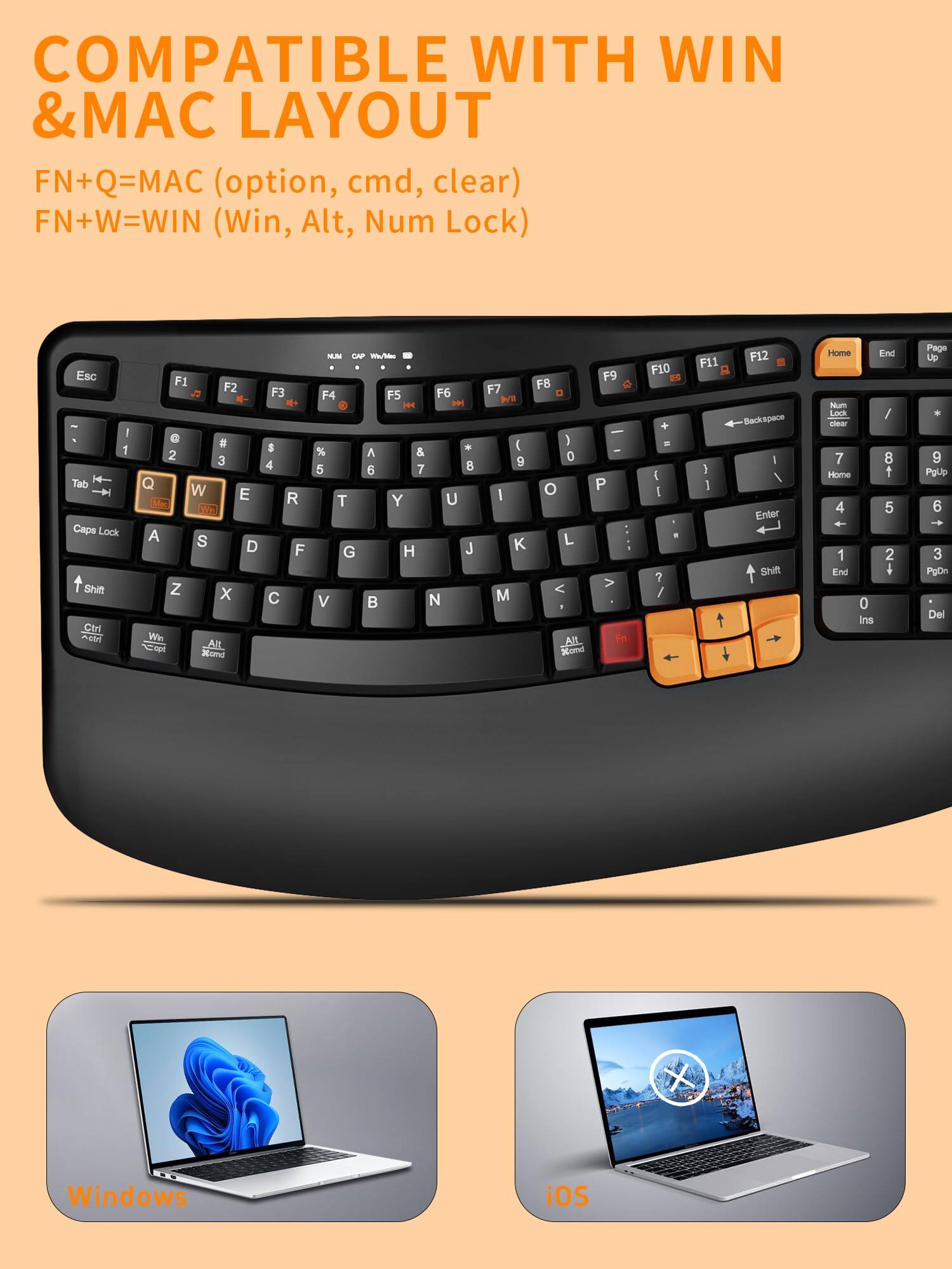 COMPATIBLE WITH WIN & MAC LAYOUT

FN+Q=MAC (option, cmd, clear)
FN+W=WIN (Win, Alt, Num Lock)

Esc ! 1 Tab Caps Lock Shift Ctrl F1 F2 F3 F4 F5 F6 F7 F8 F9 F10 F11 F12 Backspace Enter Shift Home End Page Up Page Down Del Windows iOS

1 2 3 4 5 6 7 8 9 0 - = Delete
Q W E R T Y U I O P [ ] \
A S D F G H J K L ; ' Return
Z X C V B N M , . / Shift
Ctrl Win Alt Fn

Home 7 8 9
↑ 4 5 6
← 1 2 3
↓ 0 Ins
→