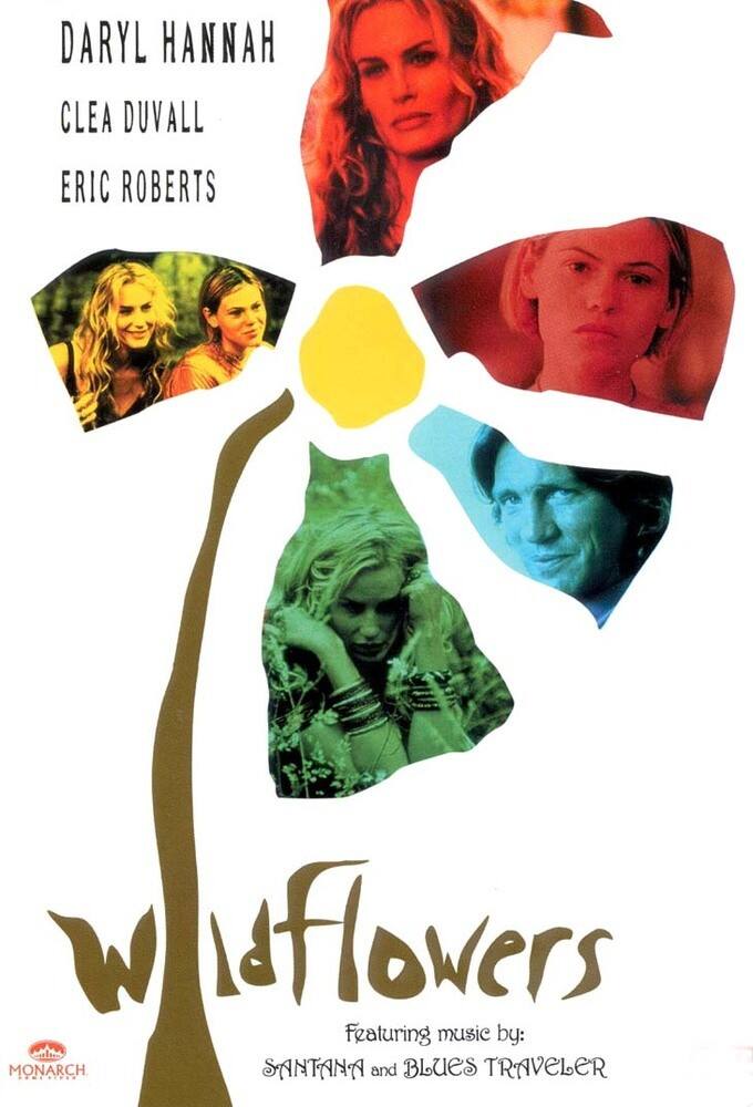 Best Buy Wildflowers [DVD] [2000]