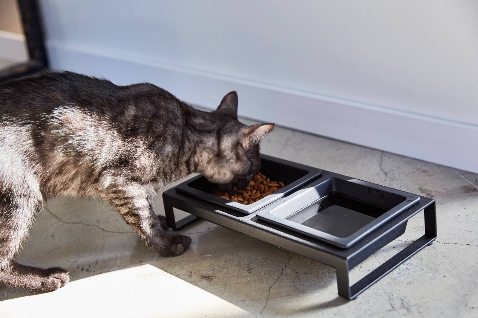 Alt View 6. Yamazaki Home - Pet Food Bowl - Steel + Ceramic - White.