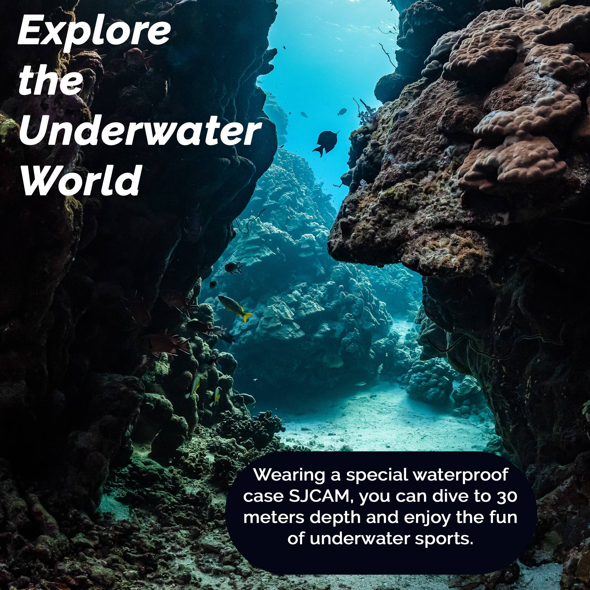 Explore the Underwater World

Wearing a special waterproof case SJCAM, you can dive to 30 meters depth and enjoy the fun of underwater sports.