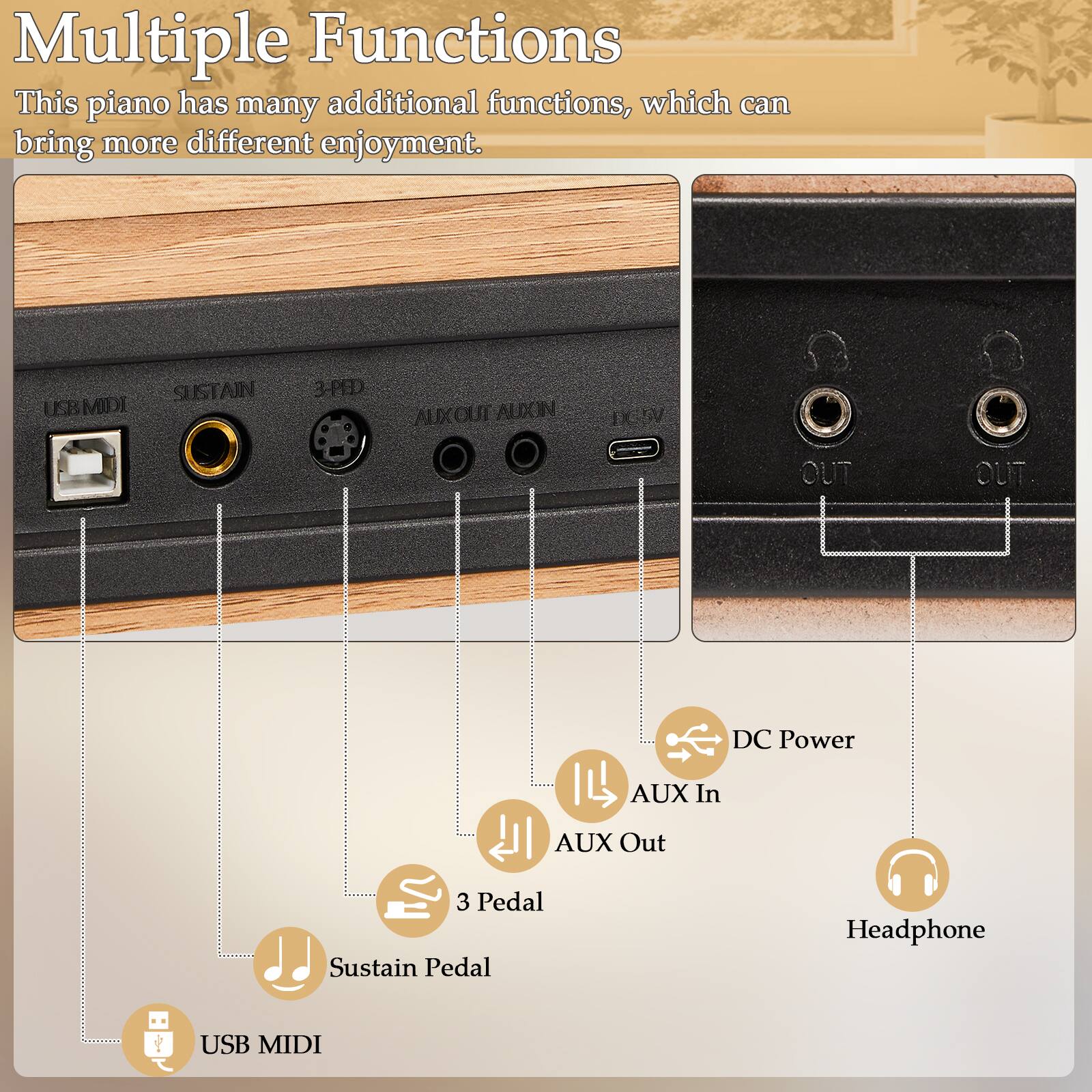 Multiple Functions  
This piano has many additional functions, which can bring more different enjoyment.  

- USB MIDI  
- Sustain Pedal  
- 3 Pedal  
- AUX In  
- AUX Out  
- DC Power  
- Headphone