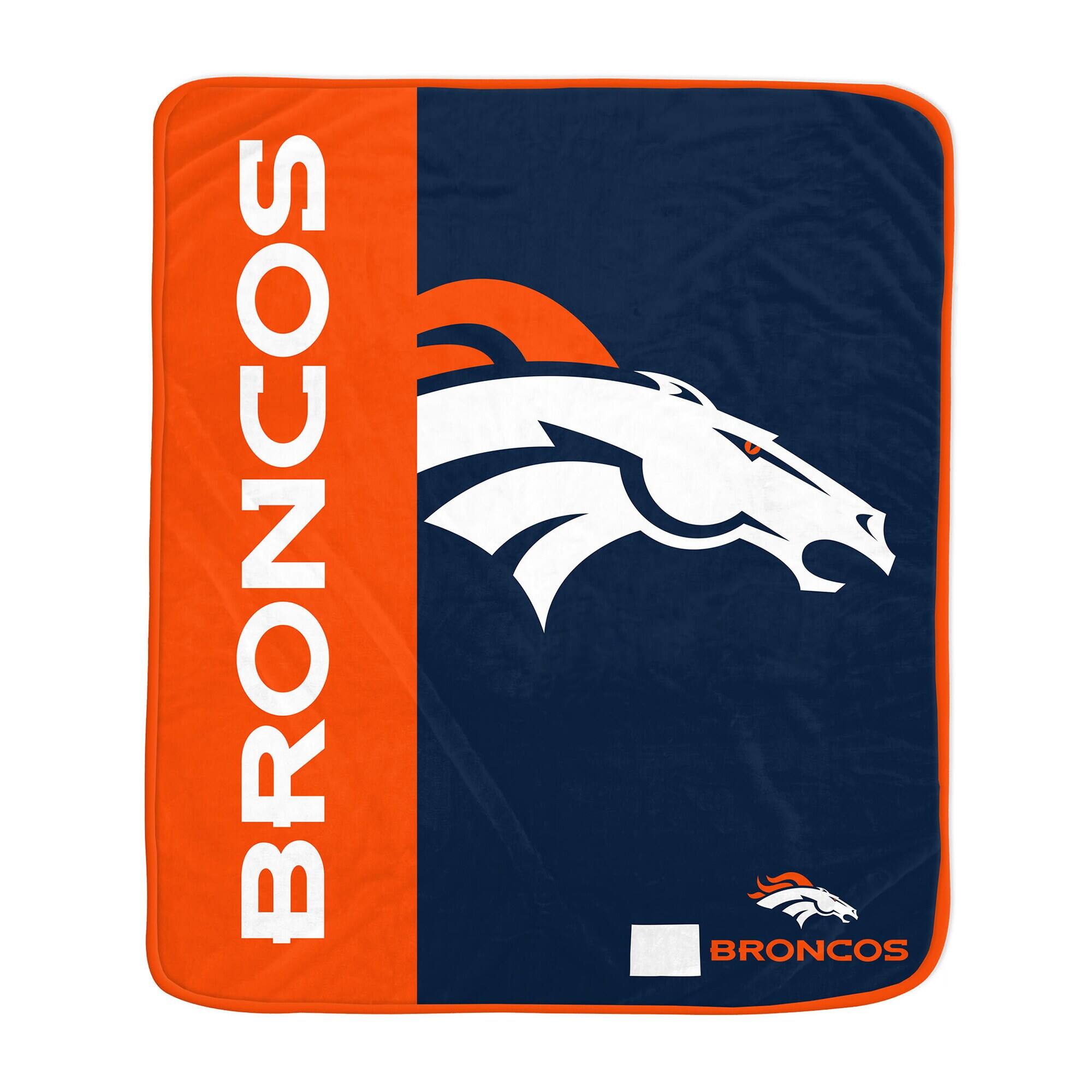 Pegasus - 50" x 60" Endzone Ultra Soft Throw Blanket - Multicolor