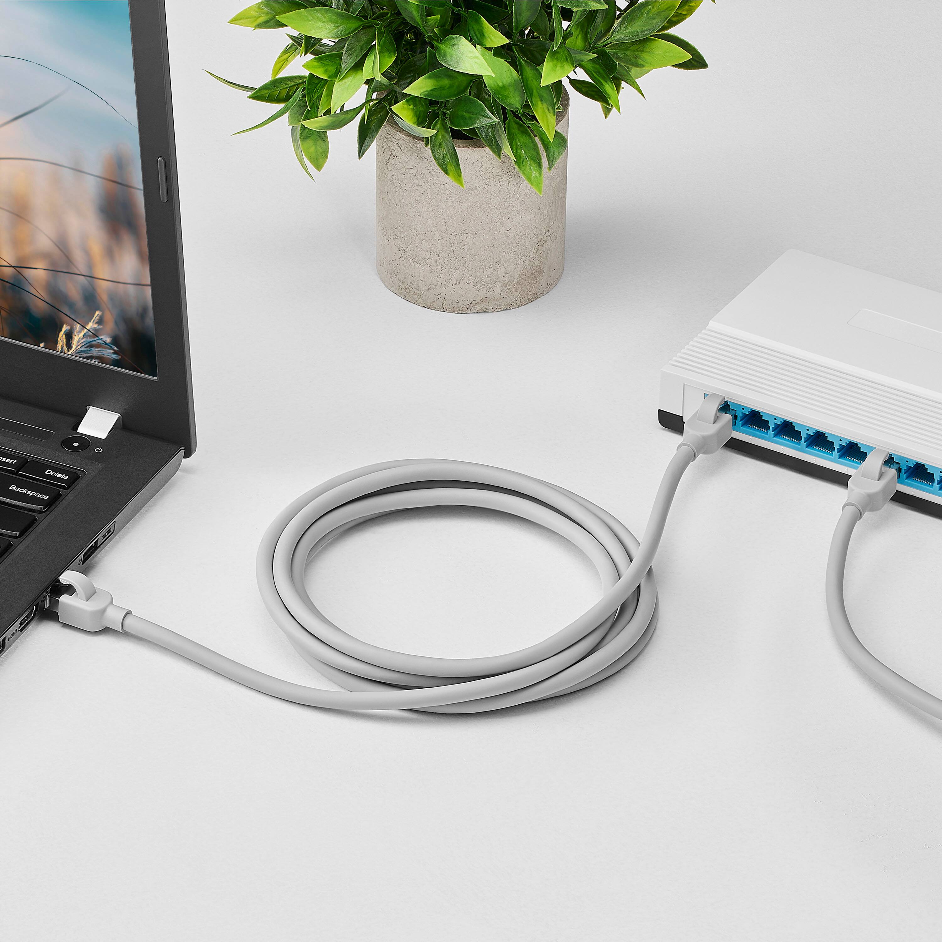 The text on the image is:

"NET LN notiorraae ds"