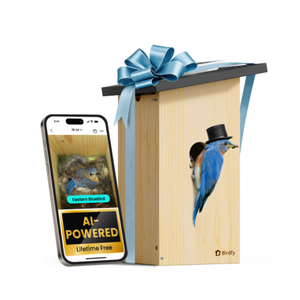 4 a 28 20Jul Ju V .... Eastern Bluebird Al-POWERED Lifetime Free $ Birdfy