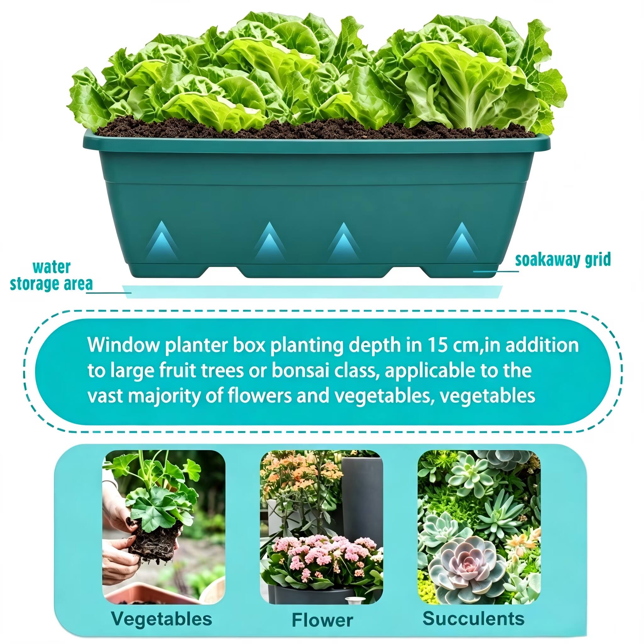 water storage area  
soakaway grid  
Window planter box planting depth in 15 cm, in addition to large fruit trees or bonsai class, applicable to the vast majority of flowers and vegetables, vegetables  
Vegetables  
Flower  
Succulents