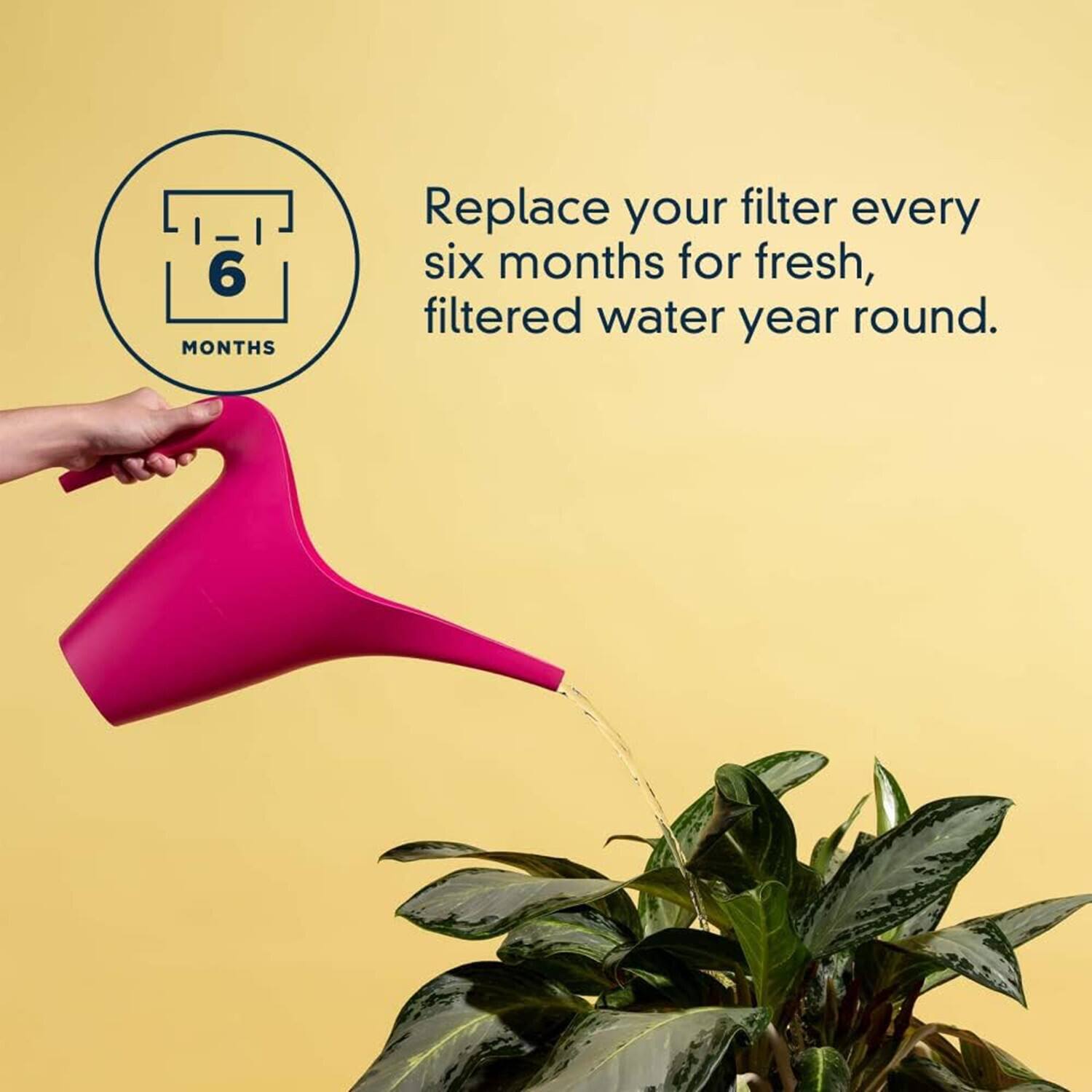 Replace your filter every six months for fresh, filtered water year round.
