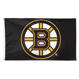 Boston Bruins