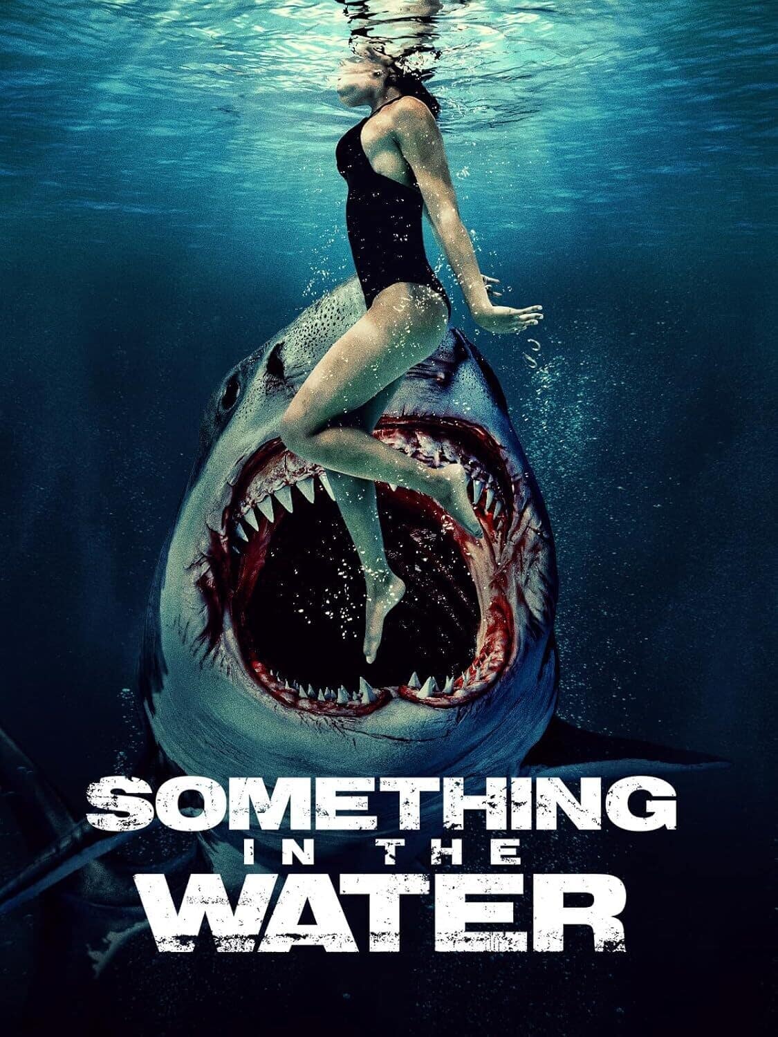 Something in the Water  - DVD