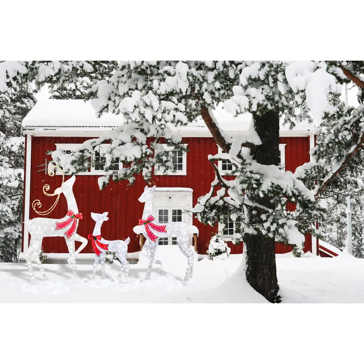 Angle. Celebrations - Celebrations LED Warm White Reindeer 61 in. Yard Decor - White | Red.