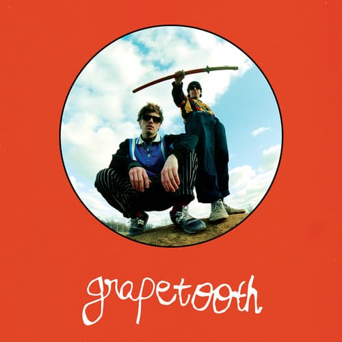 Grapetooth [LP] [VINYL] price history on PriceWatchPro