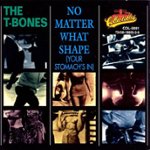 Front Standard. No Matter What Shape (Your Stomach's In) [CD].