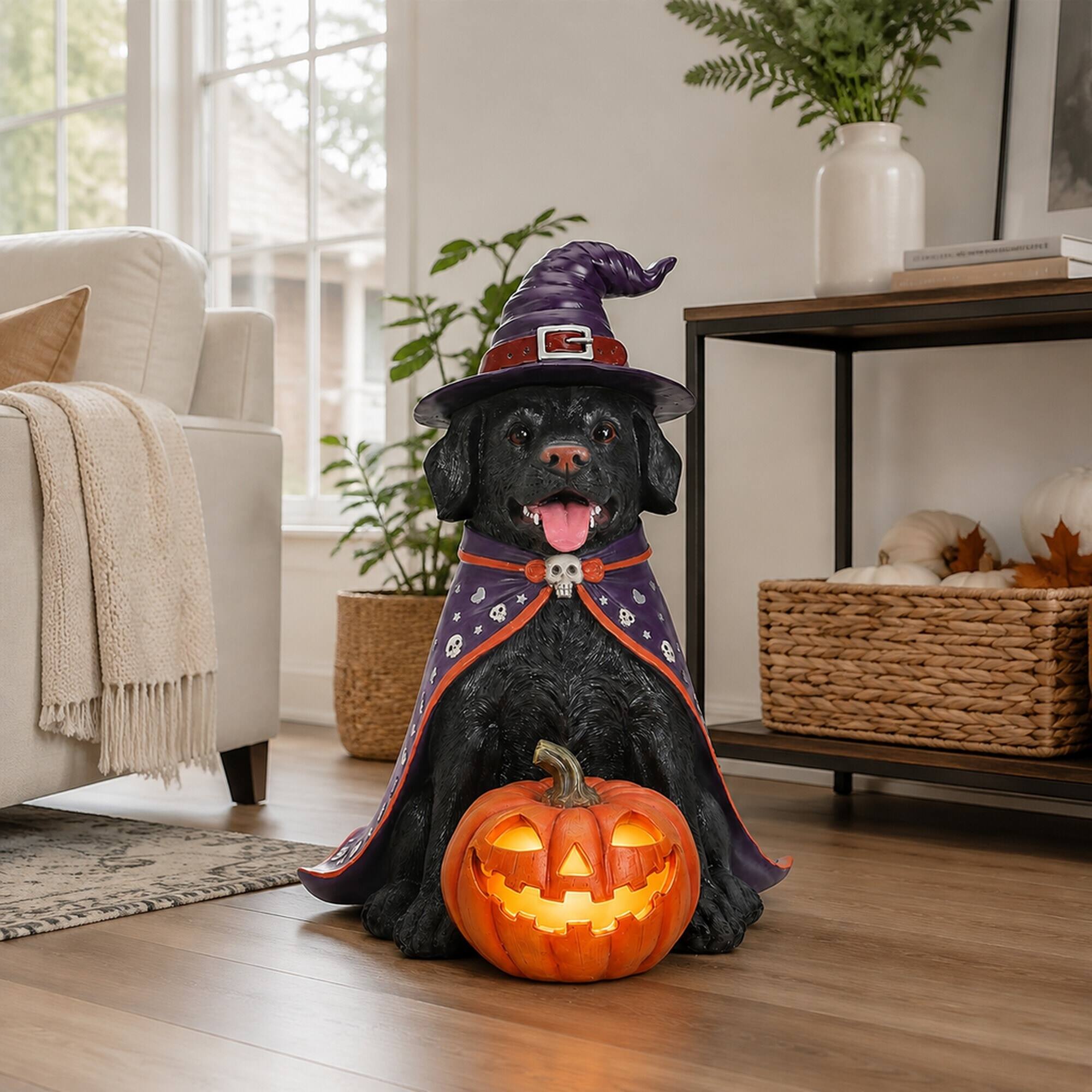 Back. RYHNUYNE - Halloween Black Lab Dog Statue with Witch Hat Cape and Glowing Jack-O-Lantern Pumpkin for Spooky Porch Decor - Black.