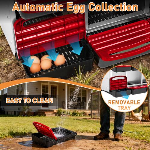 Automatic Egg Collection  
EASY TO CLEAN  
REMOVABLE TRAY