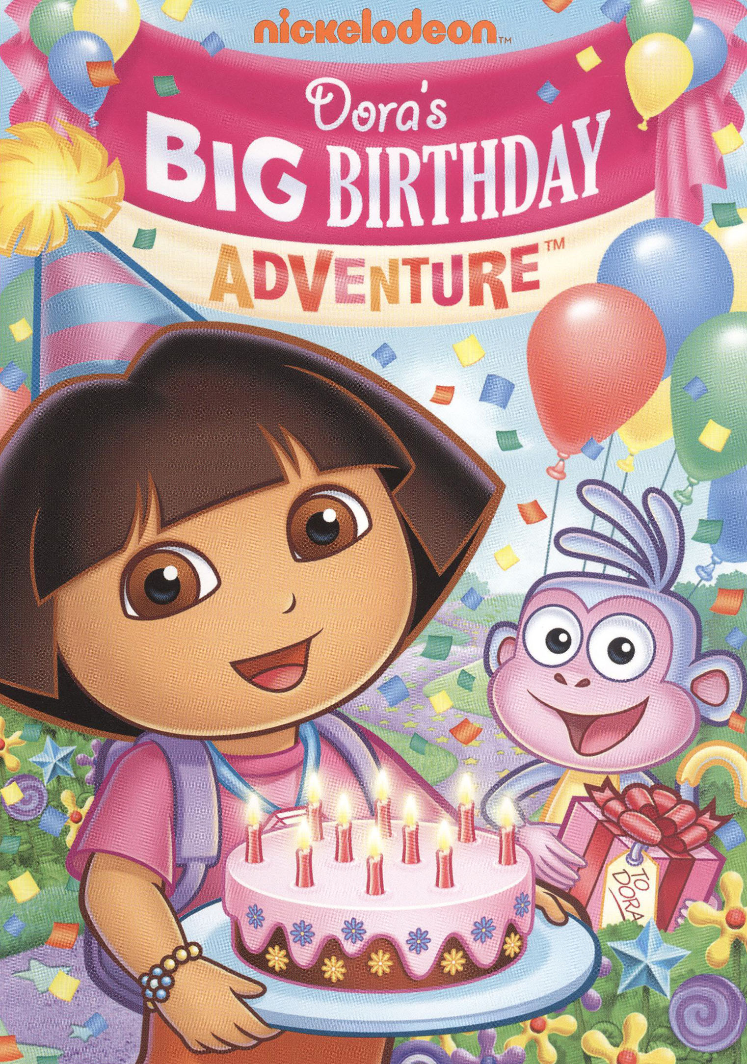 Best Buy: Dora the Explorer: Dora's Big Birthday Adventure [Pop-Up ...