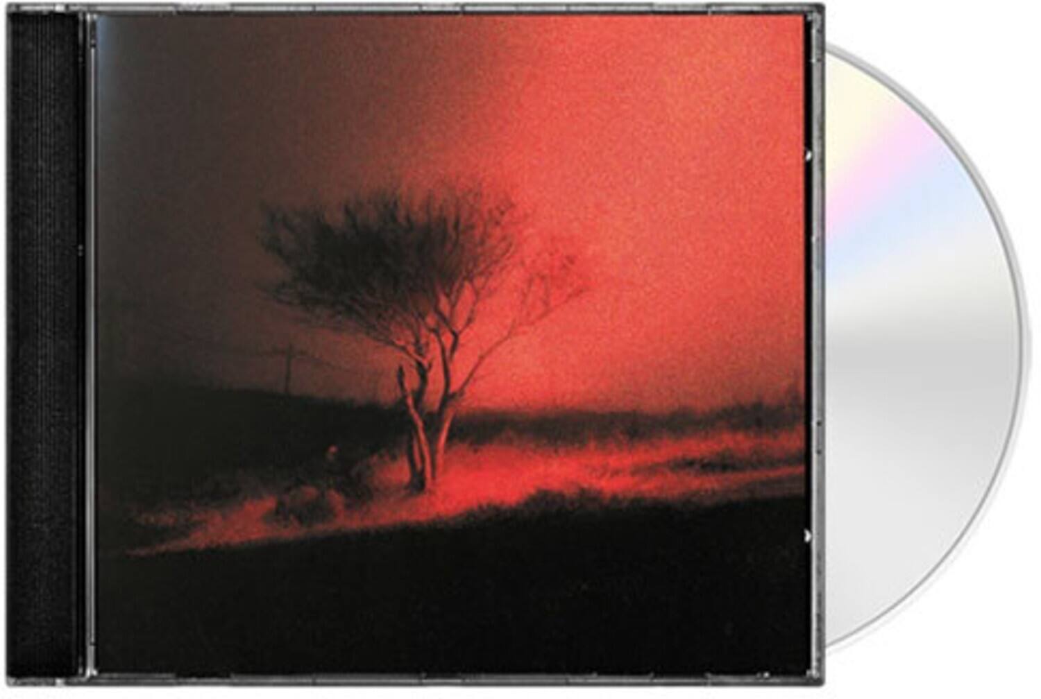 Front. Joji - Piss In The Wind   - COMPACT DISCS.