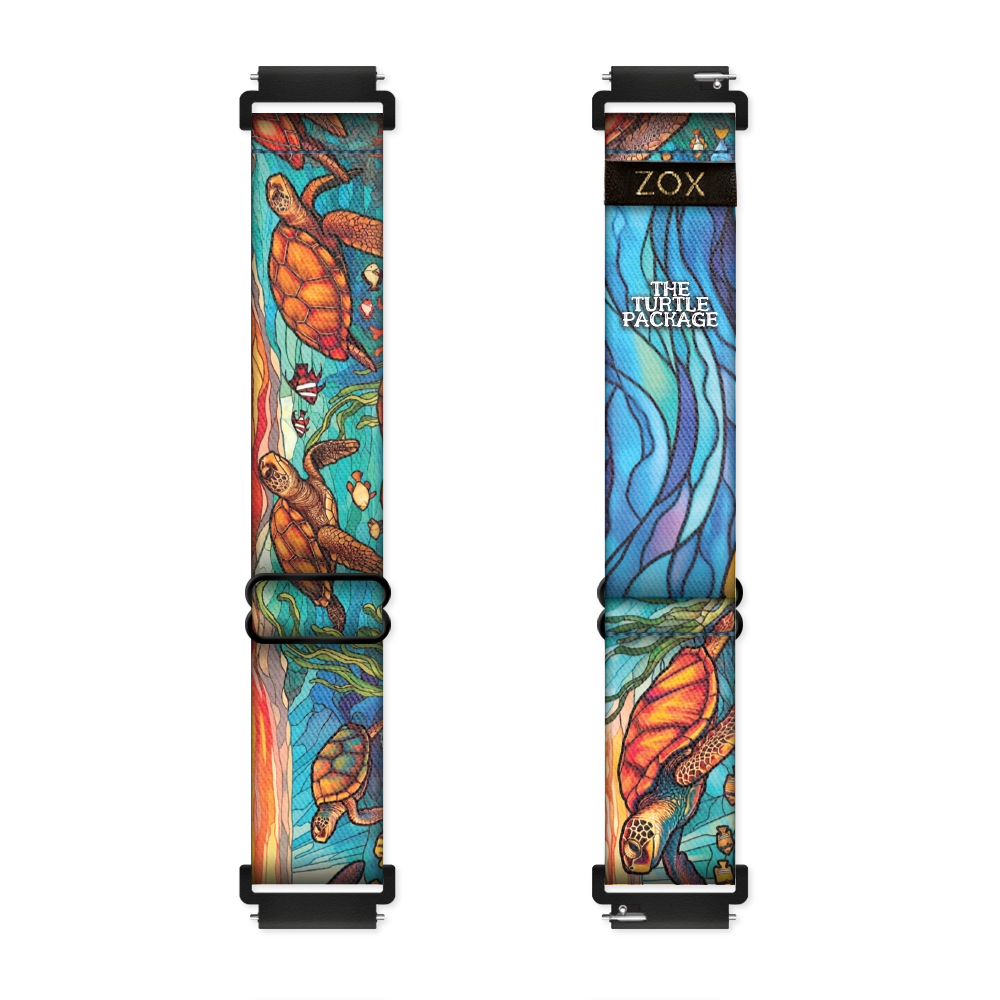 ZOX THE TURTLE PACKAGE