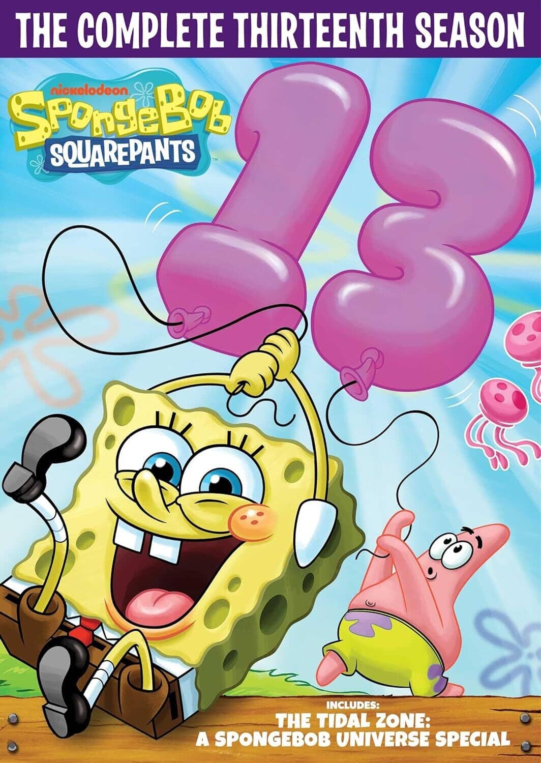 SpongeBob SquarePants: The Complete Thirteenth Season  - DVD