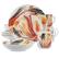 Front. Elama - Elama Tulip Fields 16 Piece Round Porcelain Dinnerware Set - Yellow, Orange, Black, White.