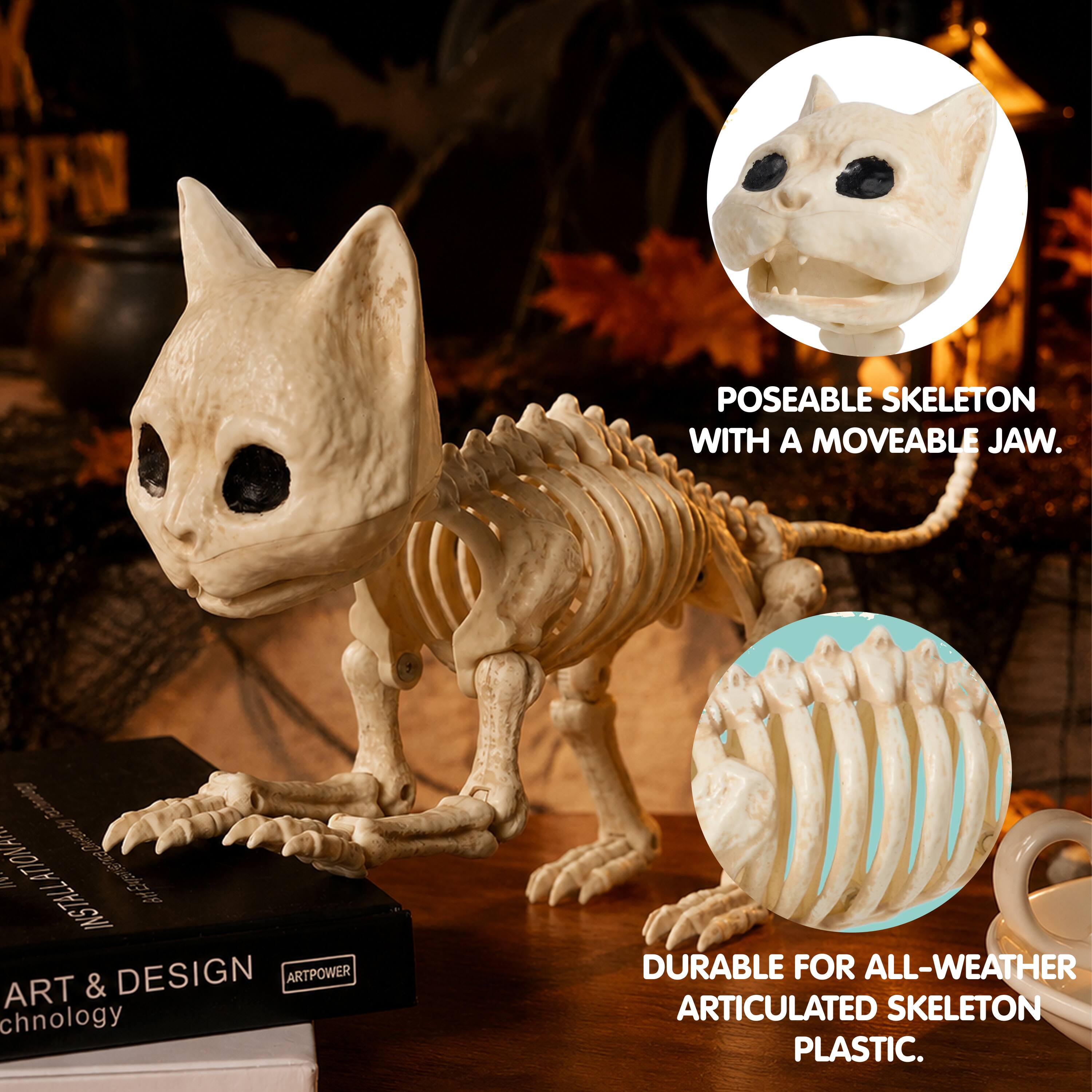 POSEABLE SKELETON WITH A MOVEABLE JAW. A 4050 INSTALLATION. ATIONAN i DESIGN ARTPOWER ART & chnology DURABLE FOR ALL-WEATHER ARTICULATED SKELETON PLASTIC.