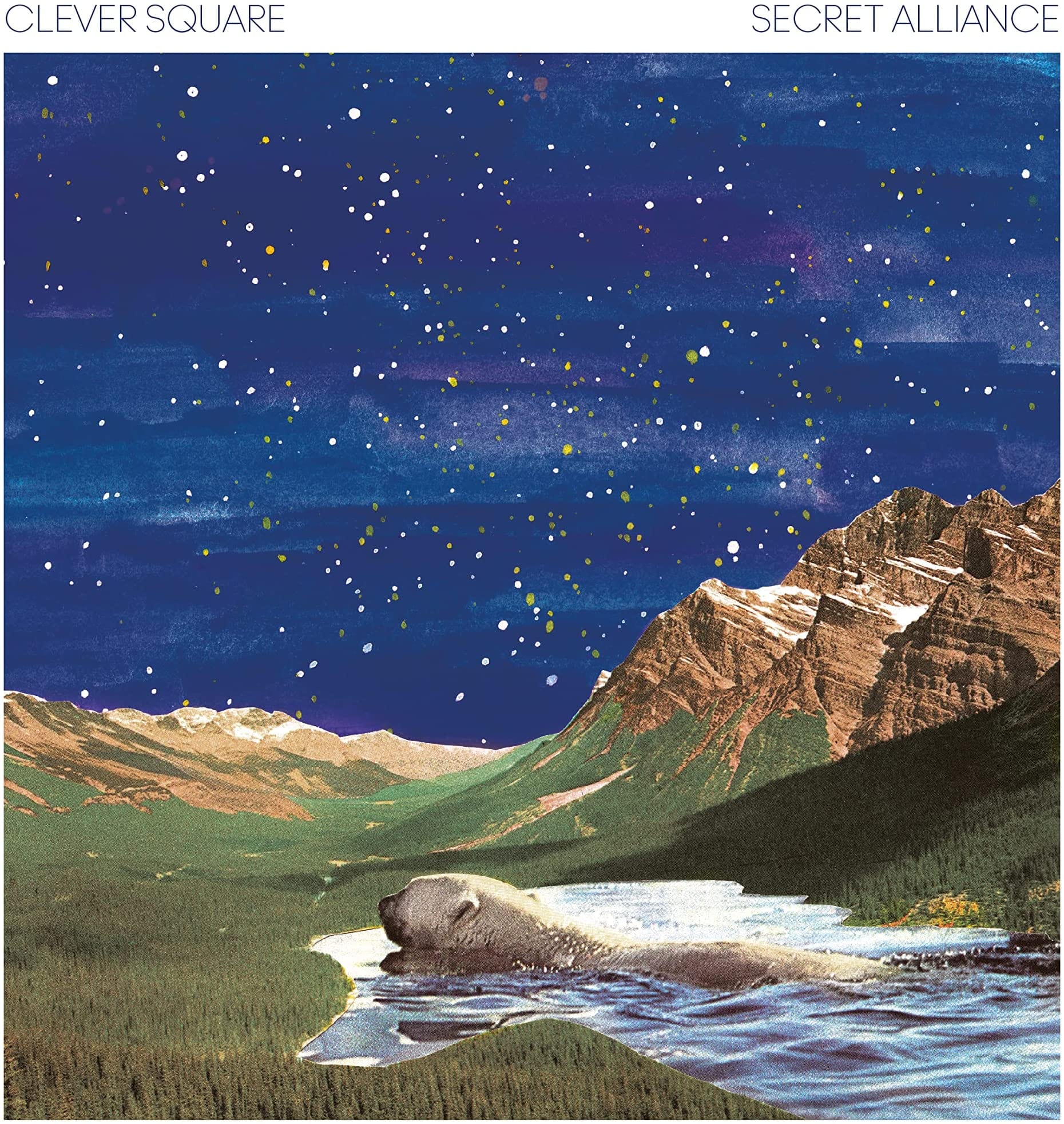 Secret Alliance [LP] [VINYL]