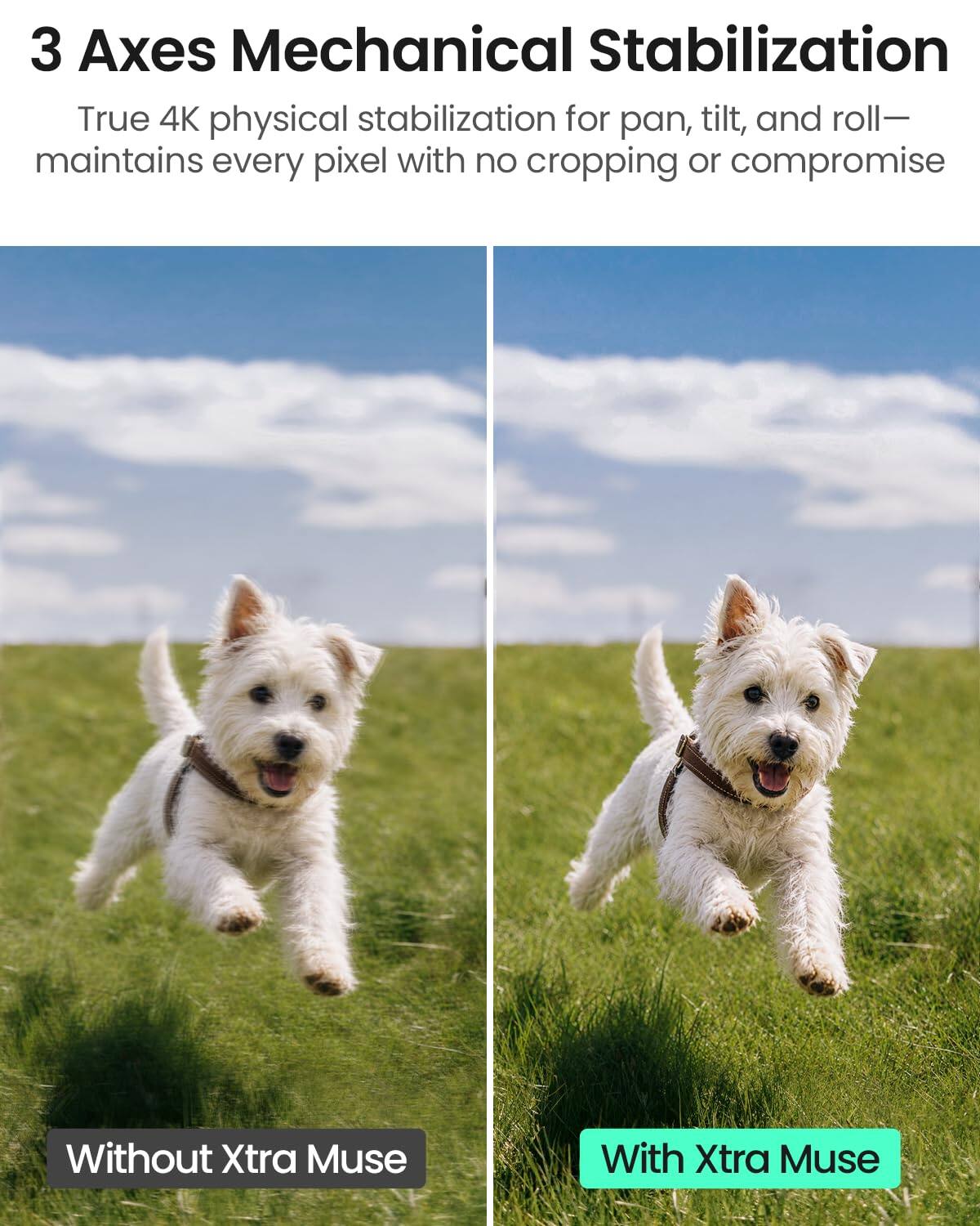 3 Axes Mechanical Stabilization  
True 4K physical stabilization for pan, tilt, and roll—maintains every pixel with no cropping or compromise  

Without Xtra Muse  
With Xtra Muse
