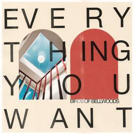 Birds of Bellwoods - Everything You Want - VINYL LP