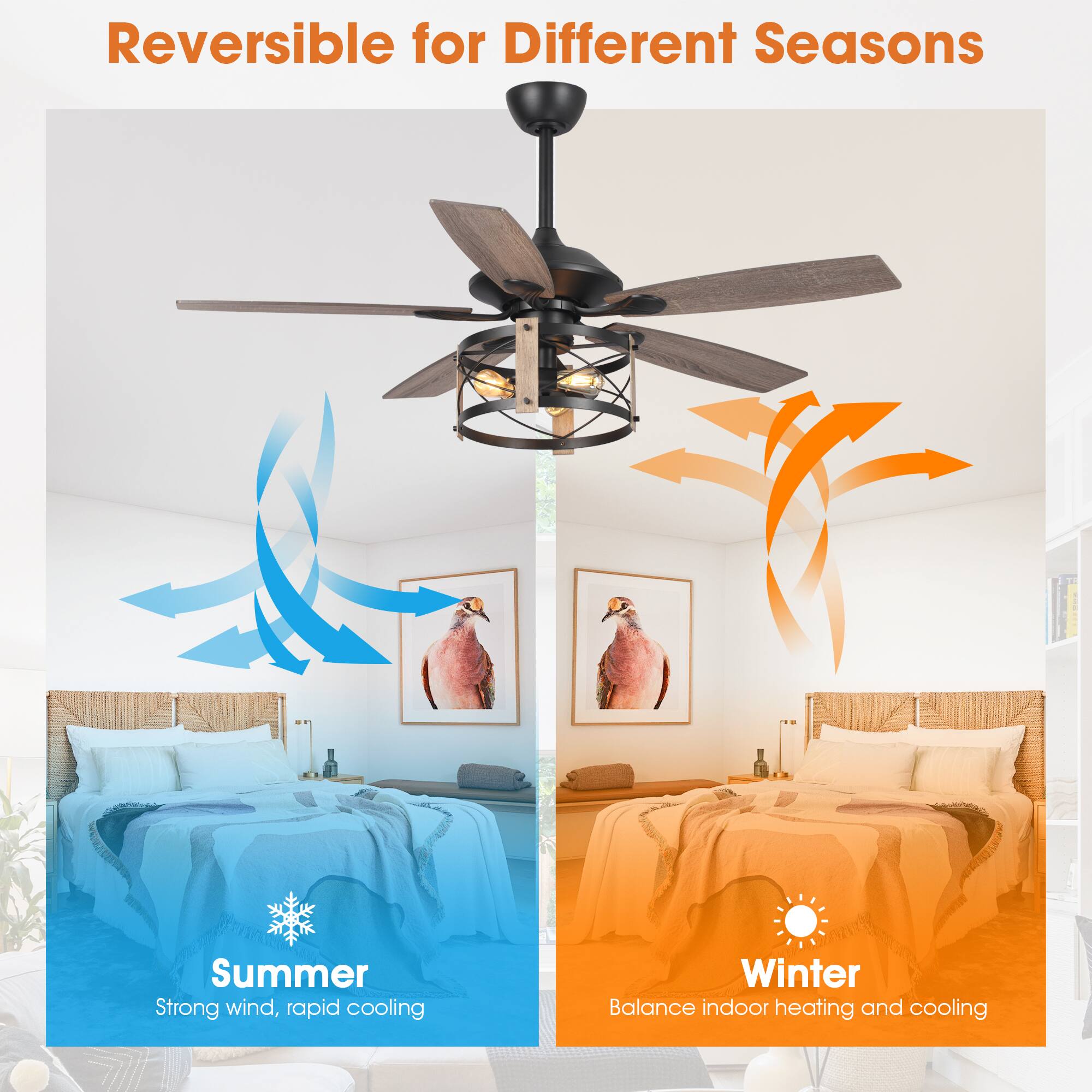Reversible for Different Seasons

Summer  
Strong wind, rapid cooling

Winter  
Balance indoor heating and cooling