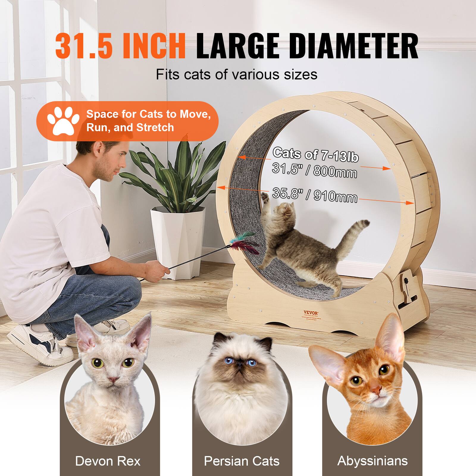 31.5 INCH LARGE DIAMETER  
Fits cats of various sizes  

Space for Cats to Move, Run, and Stretch  

Cats of 7-13lb  
31.5" / 800mm  
35.8" / 910mm  

Devon Rex  
Persian Cats  
Abyssinians