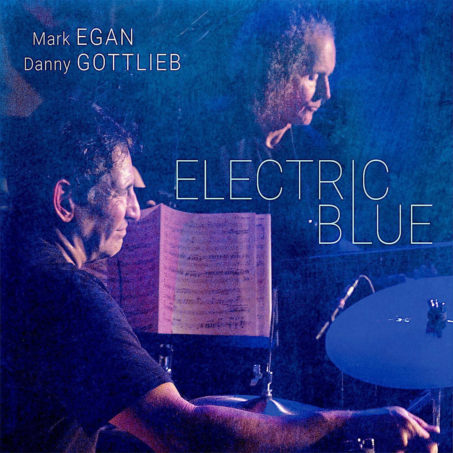 Mark Egan - Electric Blue   - VINYL LP price history on PriceWatchPro