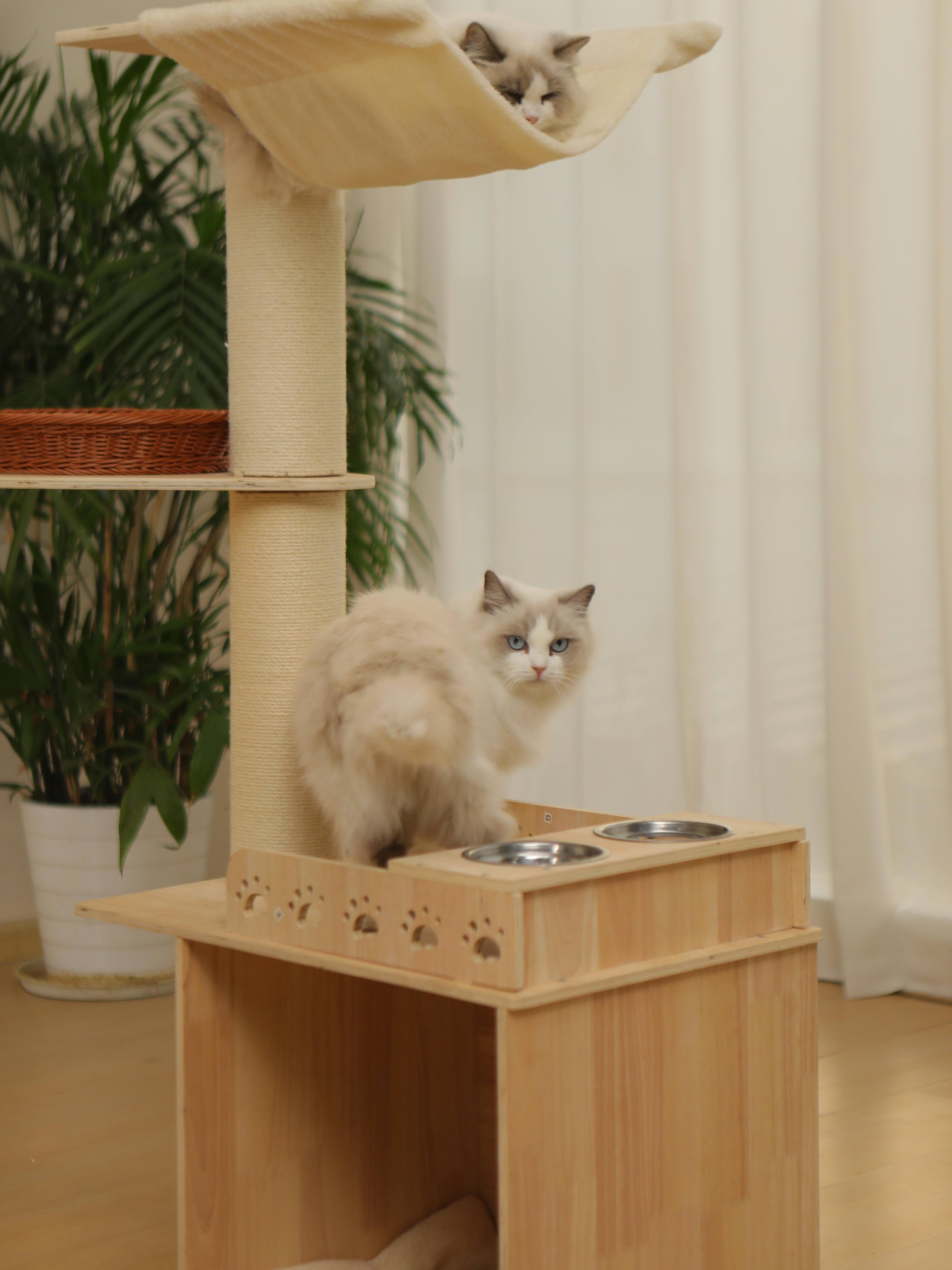 Alt View 5. JUJABU - 5-Tier Adjustable Cat Tree Tower – Hemp Scratching Post, Perches, Sturdy Indoor/Outdoor Activity Center.