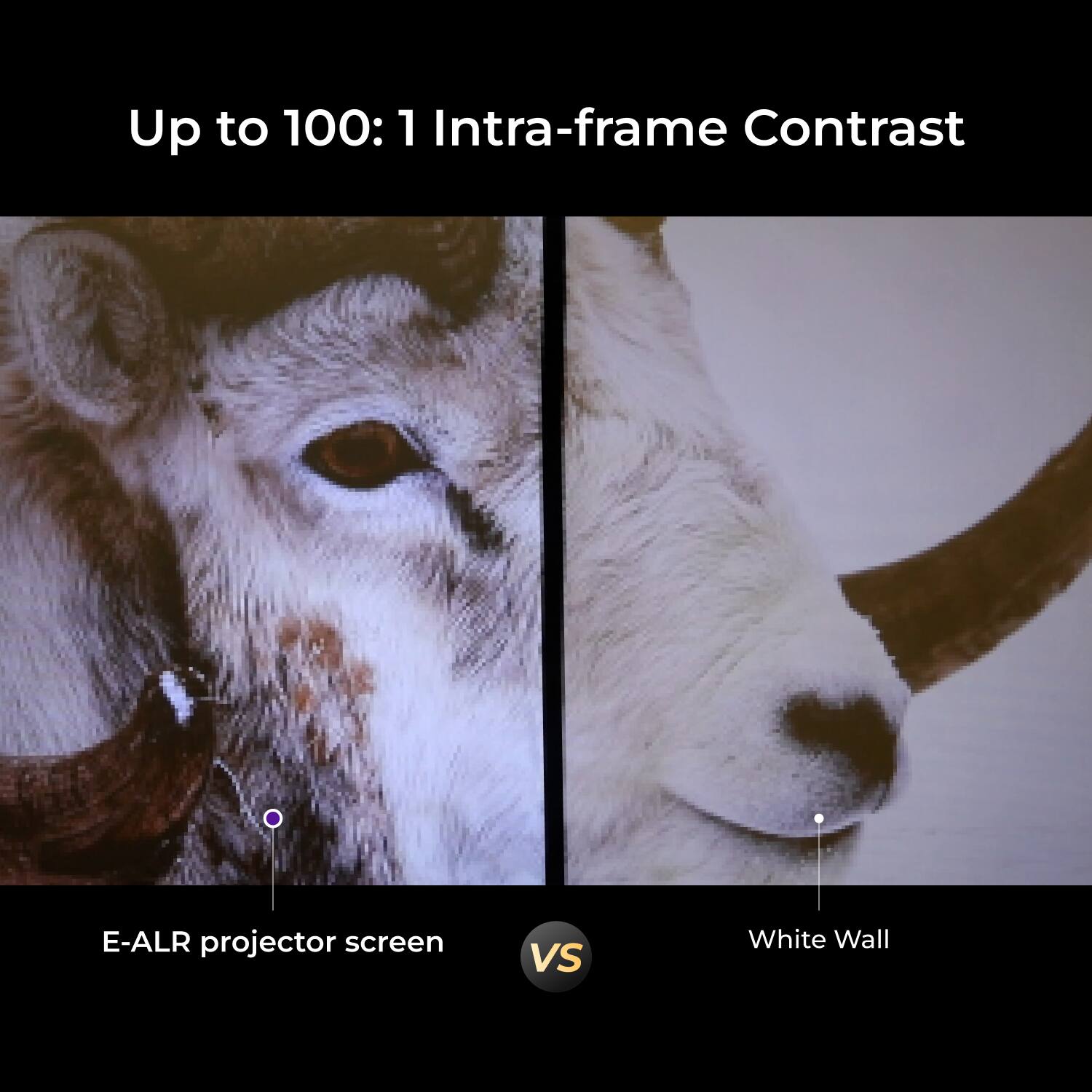 Up to 100:1 Intra-frame Contrast

E-ALR projector screen VS White Wall