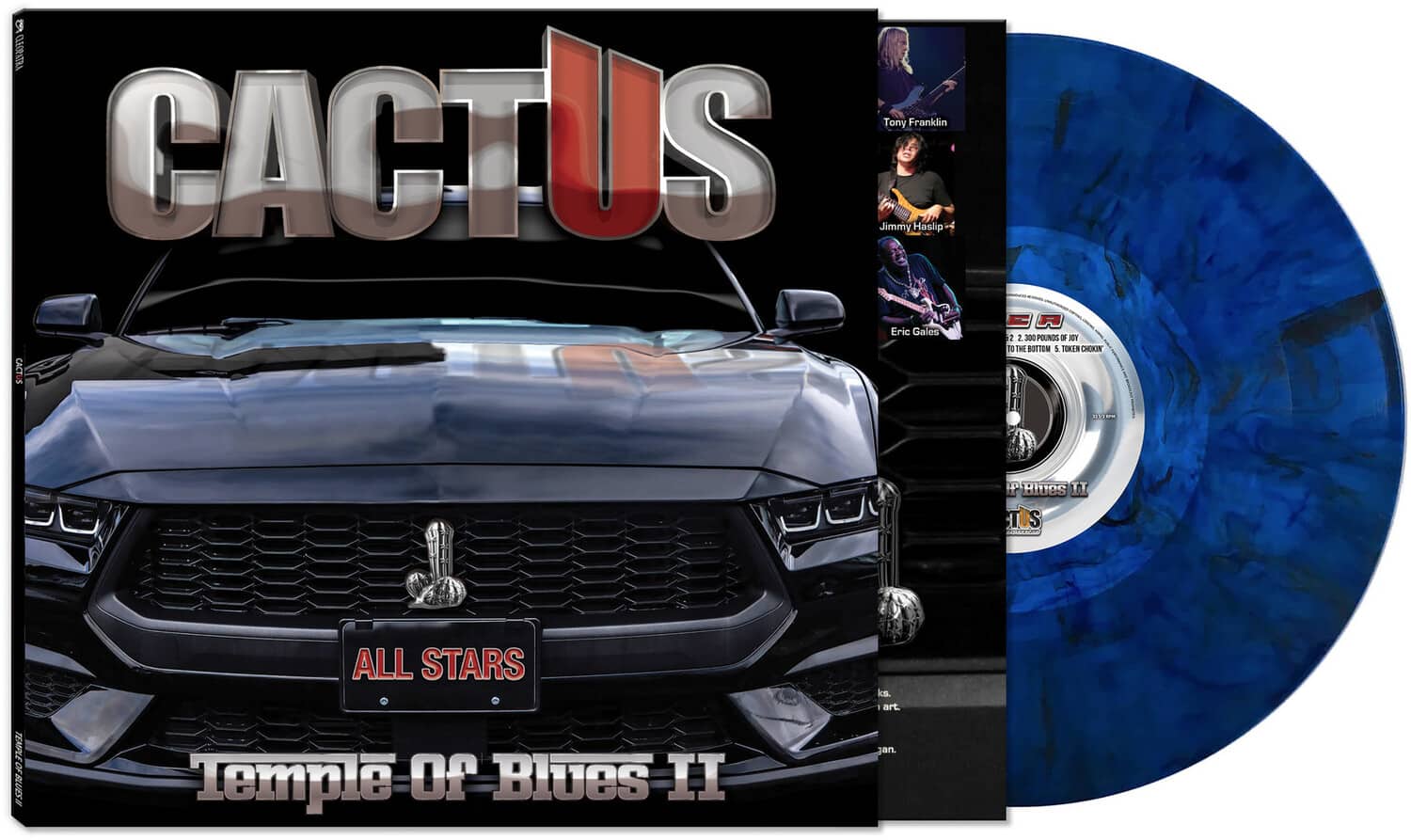 Cactus - Temple Of Blues II: All-Stars   - VINYL LP price history on PriceWatchPro