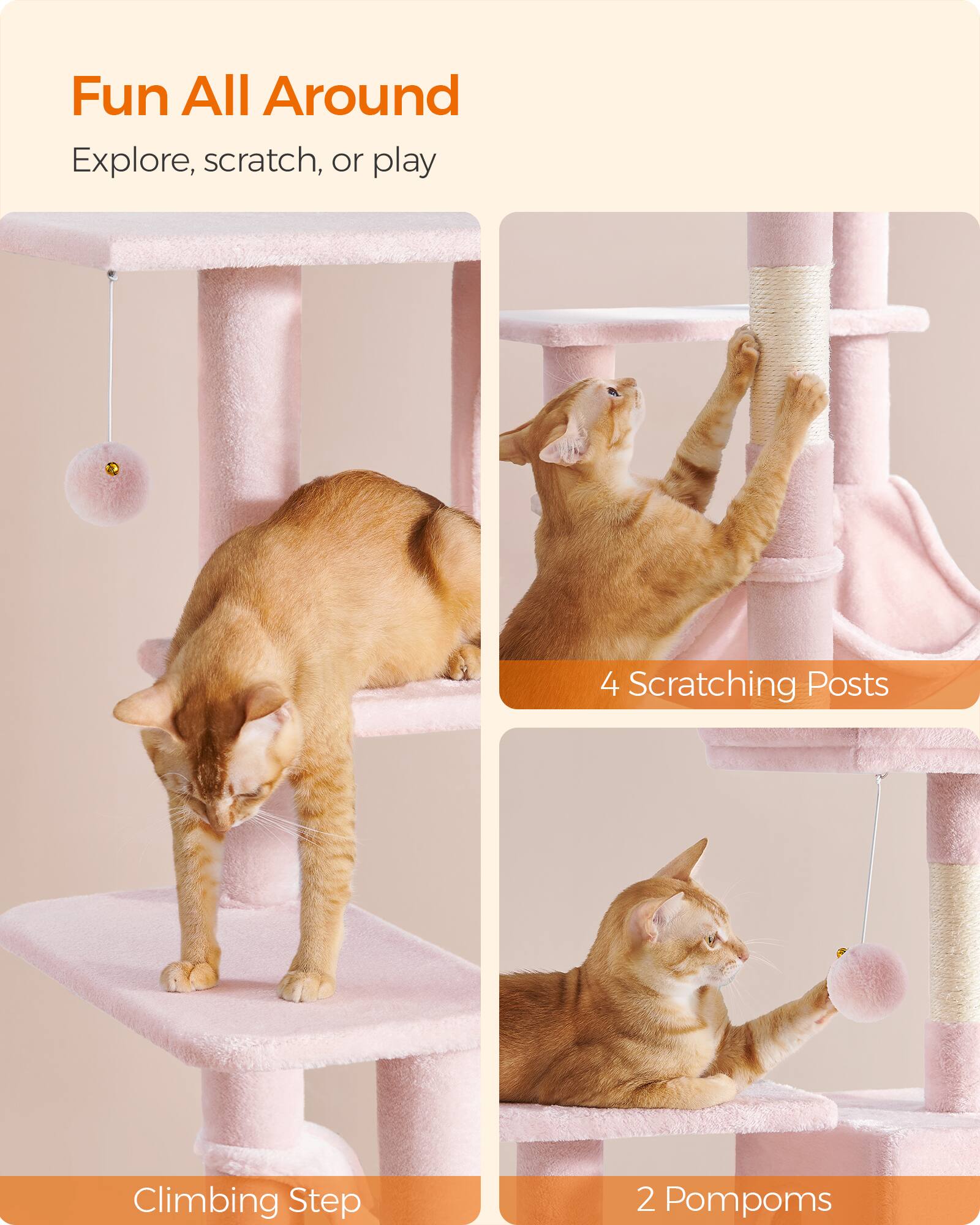 Fun All Around  
Explore, scratch, or play

4 Scratching Posts  
Climbing Step  
2 Pompoms