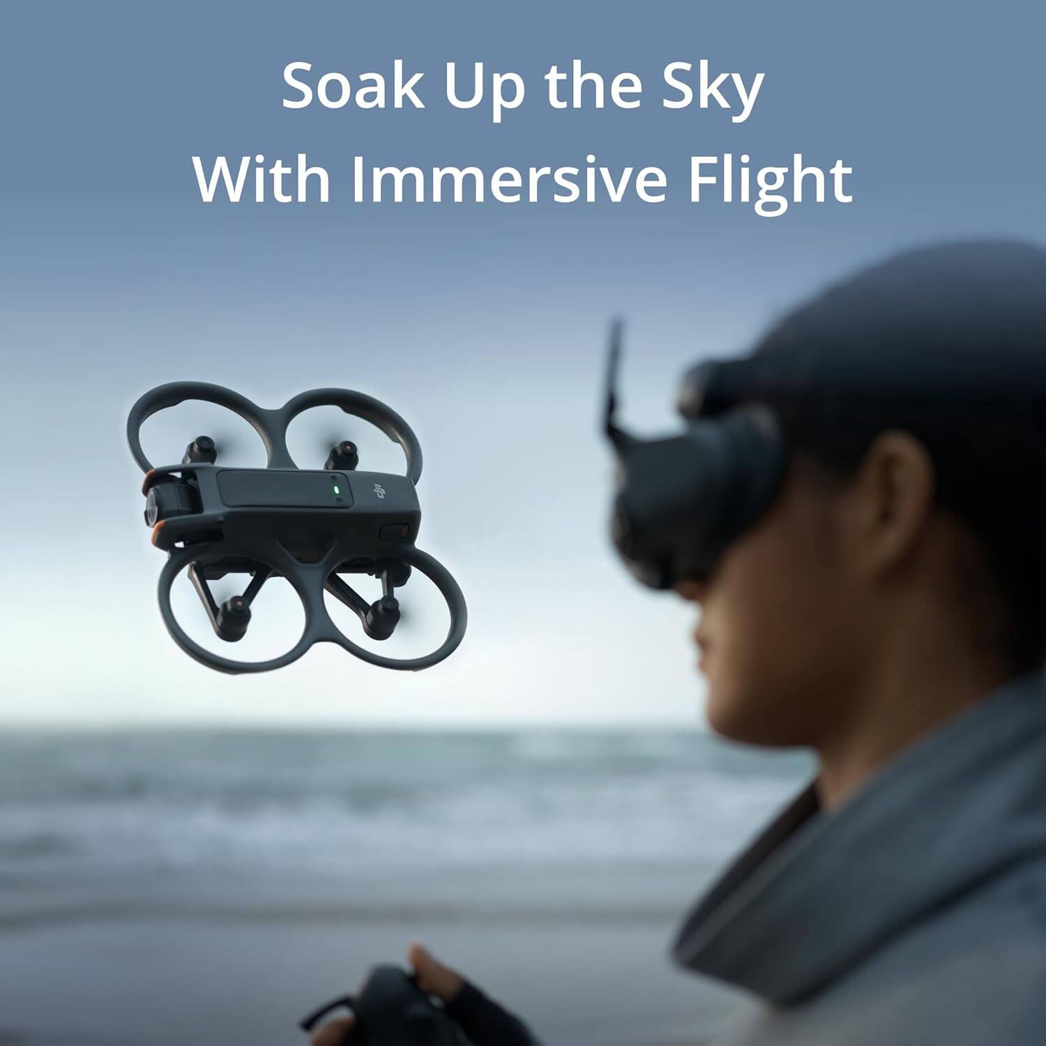Soak Up the Sky With Immersive Flight