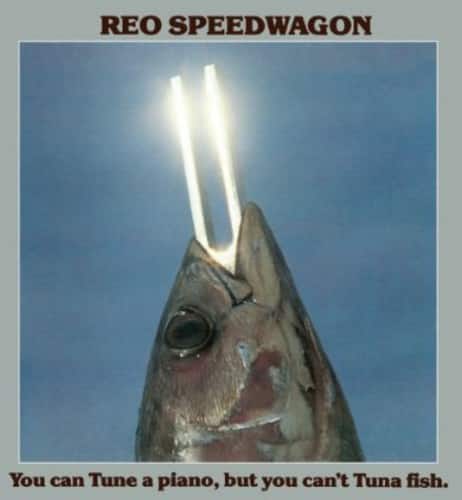 REO Speedwagon - You Can Tune a Piano But You Can't Tune a Fish   - COMPACT DISCS [CD] price history on PriceWatchPro