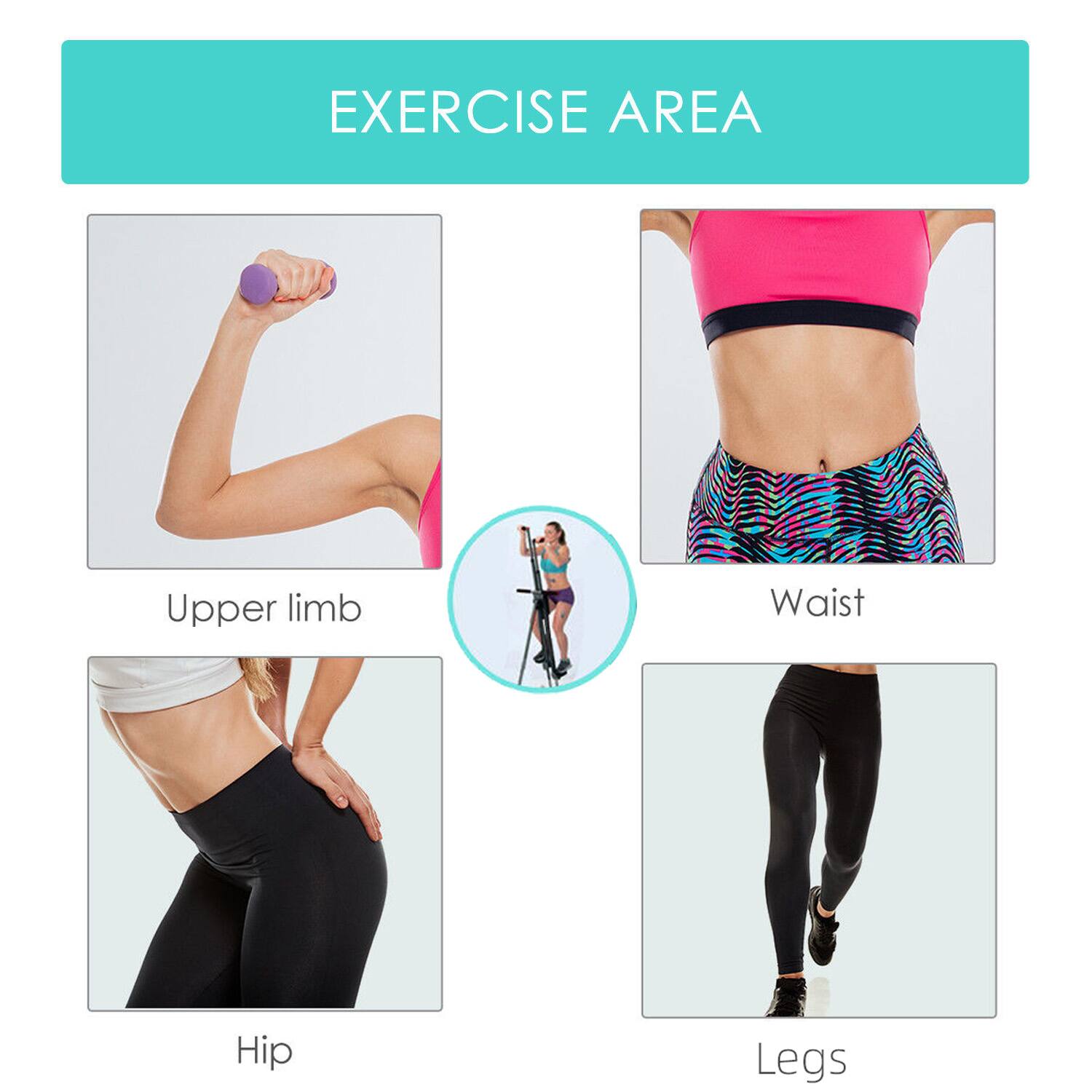 EXERCISE AREA

- Upper limb
- Waist
- Hip
- Legs