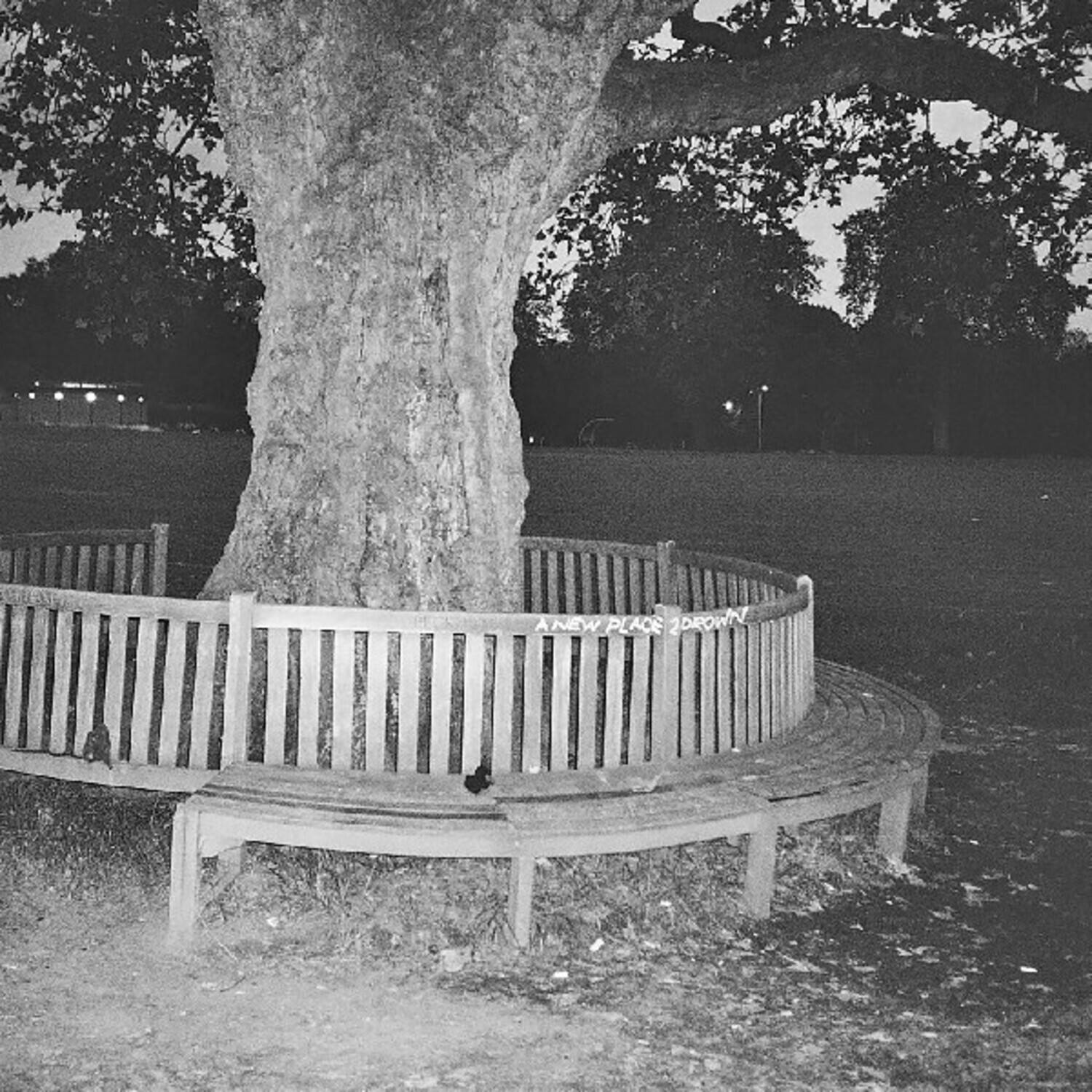A NEW PLACE DOWN