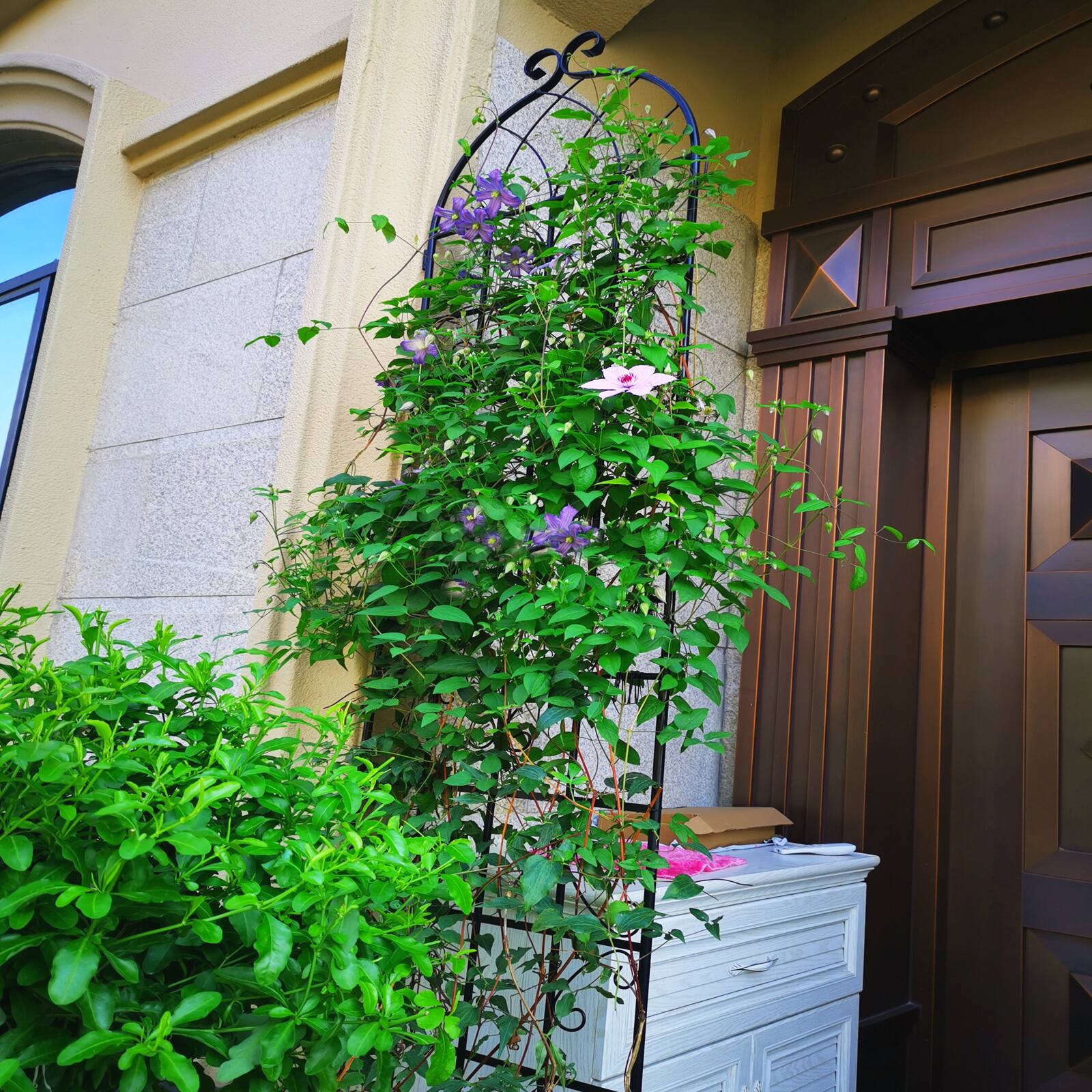 Left. Loheer - 4 Pack Metal Garden Trellis for Climbing Plants Outdoor Flower Support - Black.