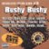 Front Standard. Bushy Bushy [CD] [PA].