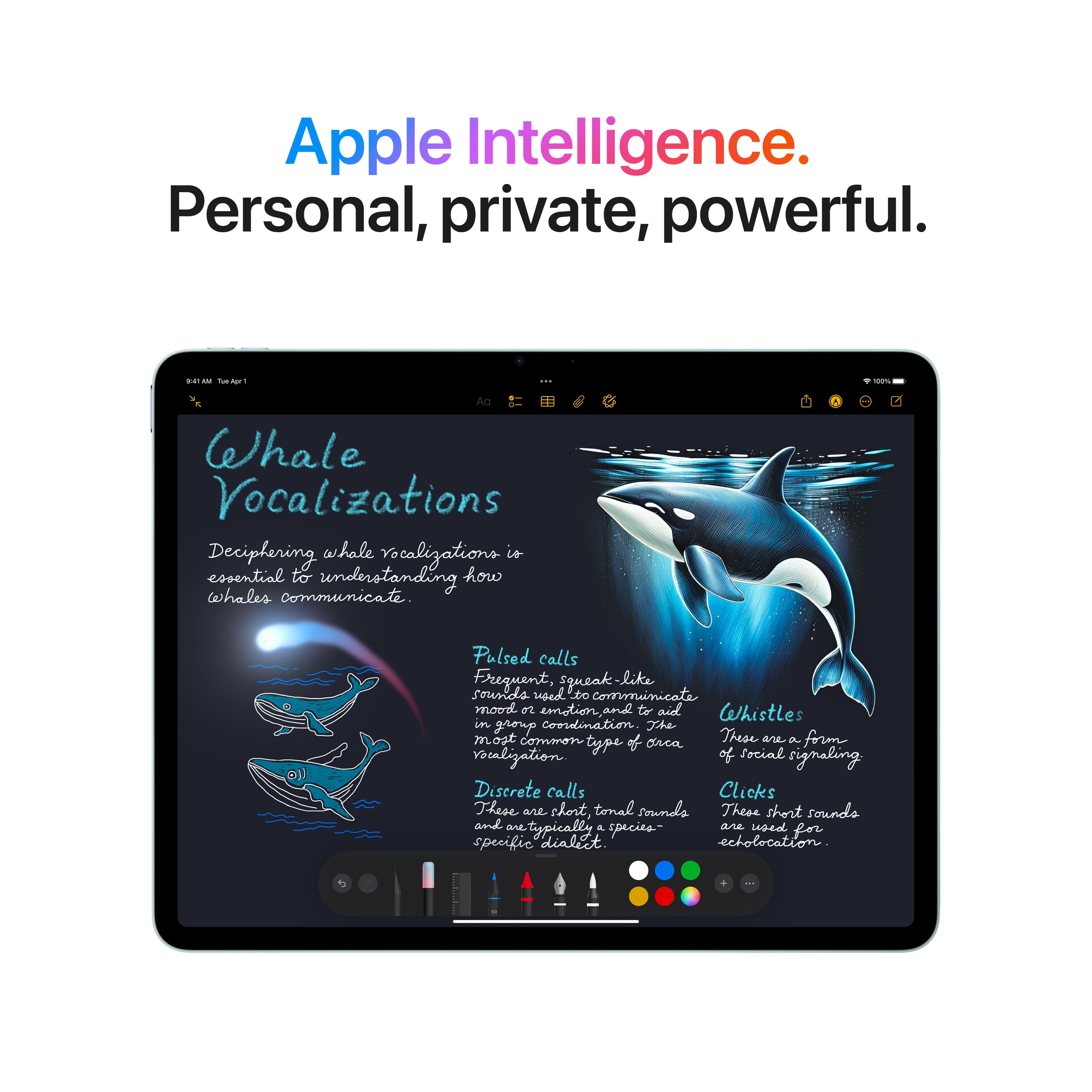 Apple Intelligence. Personal, private, powerful. Whale Vocalizations Deciphering whale vocalizations is essential to understanding how whales communicate. Pulsed calls: Frequent, squeak-like sounds used to communicate mood or emotion, and to aid in group coordination. The most common of orca vocalizations. Whistles: These are chort, tonal sounds that are typically used by species for specific dialects. Echolocation: These are chort, tonal sounds that are typically used by species for specific dialects.